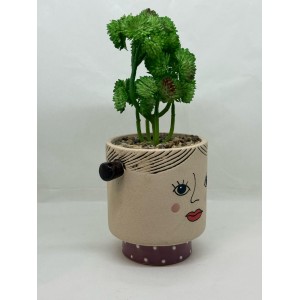 Montemaggi - Vaso con Piantina Testa Girl 2