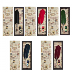 Set Calligrafico - Penna Stilografica con Piuma Rossa e... 2