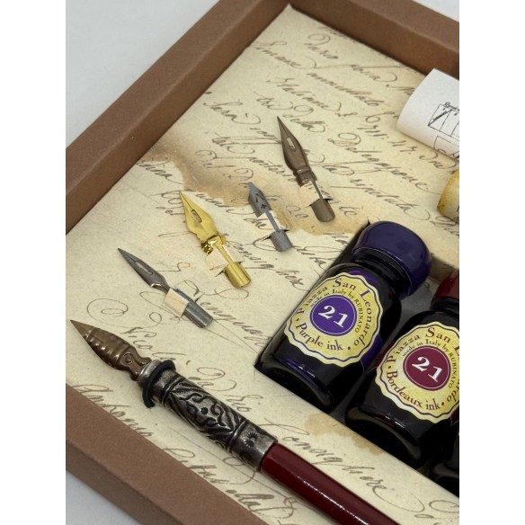 Set Calligrafico Deluxe con Penna Decorata, 9 Pennini e 4 Calamai